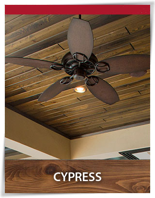 Cyrpess Cyrpess
