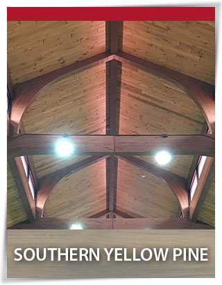 SouthernYellowPine SouthernYellowPine